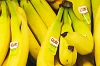 lebensmittel-etiketten drucken auf bananen